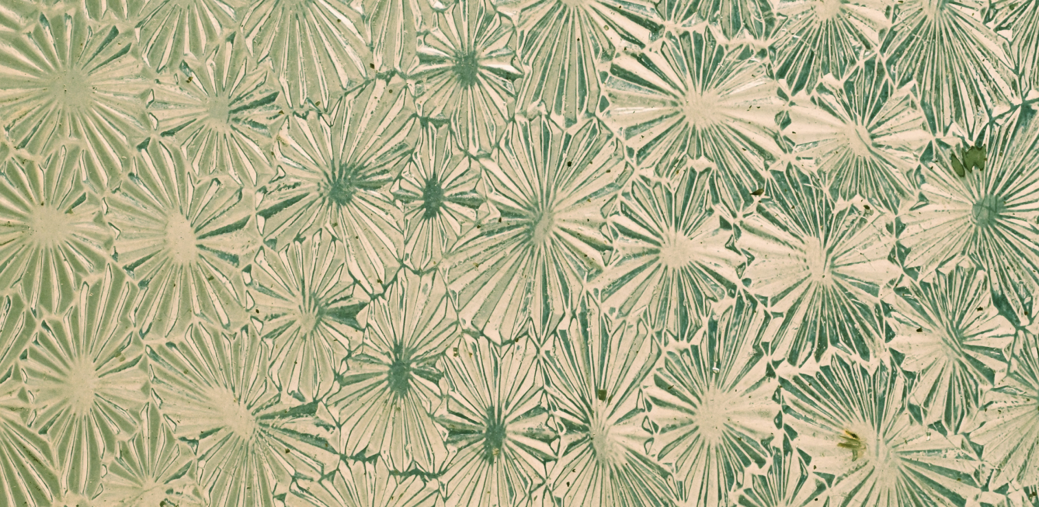 a close up of a glass