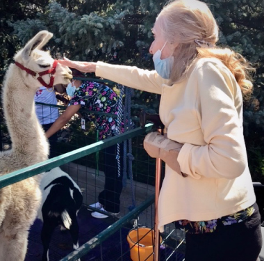 a person wearing a mask petting a llama