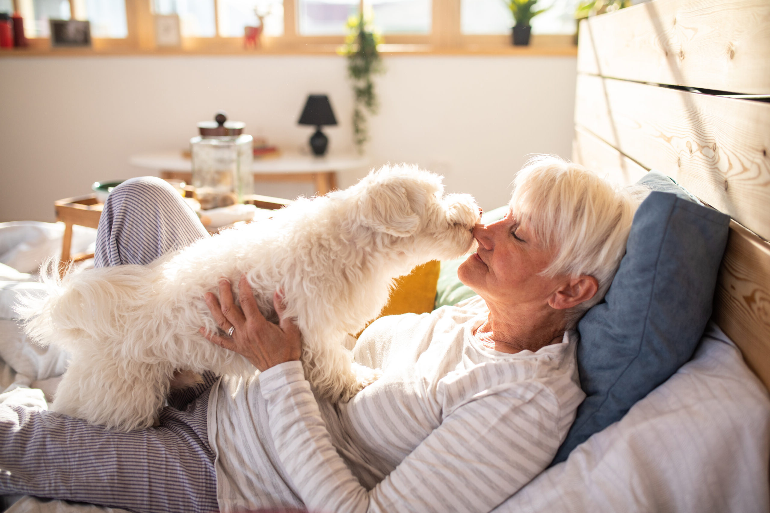 a person lying in bed with a dog kissing her nose